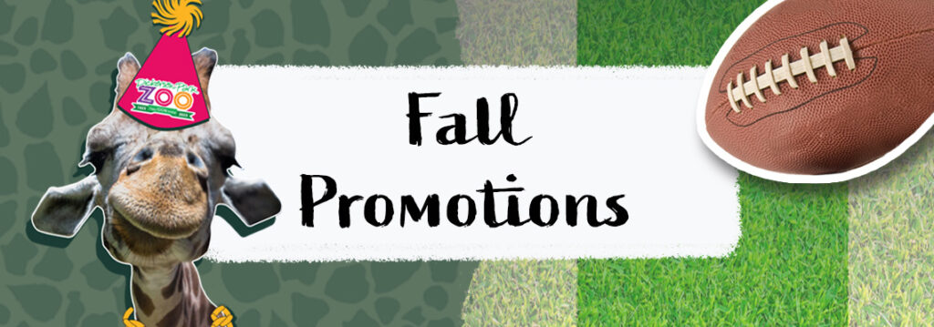 A promotional image advertising the promotions available to CBCO blood donors this fall.