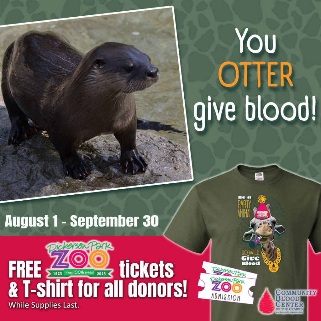 A photo of the Dickerson Park Zoo T-shirt available for all CBCO donors in August and September 2023, along with a photo of an otter and the phrase "You Otter Give Blood!"